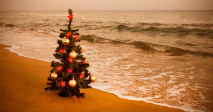 christmastreeonbeach476x290